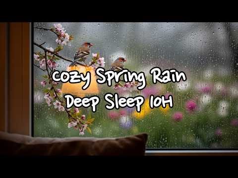 🌿🌧 Cozy Spring Rain by the Window | Soft Sleep Music & Birds Ambience (10 Hours)
