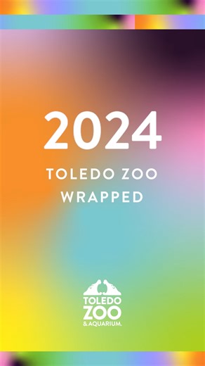 8.2K views · 180 reactions | Toledo Zoo Wrapped is here!  | The Toledo Zoo | Facebook