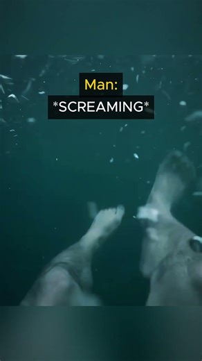 Man jumps into water with shark 😳