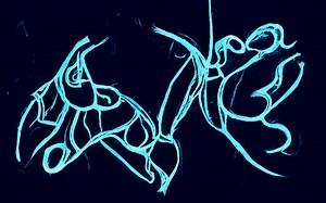 Why is tofu popular in China? [2025] | QAQooking.wiki