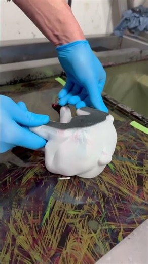 Hydro Dipping Bulldogge #satisfyingvideo #hydrodipping