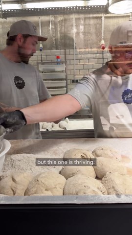 Germany's baking tradition is in danger – but this bakery gives hope