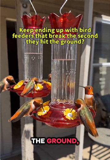 DIY Hummingbird Feeder with Ant Moat