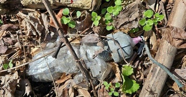 Fort Washington Park stays closed as more explosive devices found