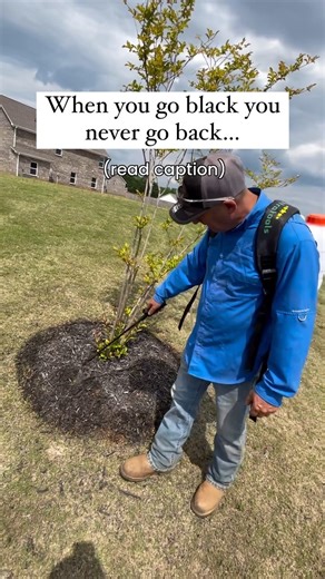 28K views · 123 reactions | The saying is true! We tried using Black Mulch Dye Max on our faded-looking mulch and the results are just amazing! ✨ video by @naturespointelandscaping ⬅️ go follow! Use #BlackMulchDye to revive your landscaping and add a pop of color to boost curb appeal! Shop link in bio or Swipe up to stories! #BlackMulchDye #PetraMax #MulchDye #CurbAppeal #Landscaping #Mulch | PetraMax | Facebook