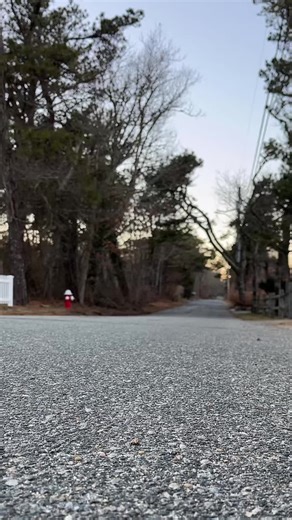 Up to 28 mph max speed, up to 50 miles per charge battery life this five speed seven gear electric bike is a beast. It’s also gonna have a 12 month warranty. I love that it has pedal assist speeds. and if you wanna get a workout, you can pedal normally, but you can crank the handlebar or use pedal assist E bikes are the way to go. #T#TikTokShopHolidayHaulE#EBikeE#ElectricBikeB#Bikef#fyp