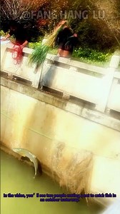 Fishing Fail: Big Fish Escapes Net in Outdoor Casting | Viral Fishing Moment