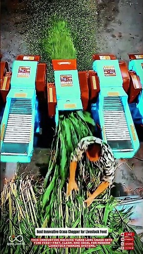 Best Innovative Grass Chopper for Livestock Feed