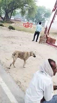 village view of India morning view