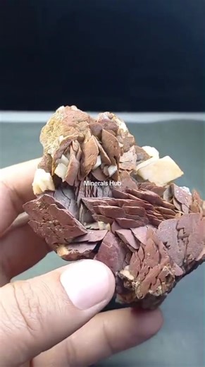 Special Siderite Specimen #tiktok #video #usa #foryoupage @Minerals Hub #creatorsearchinsights