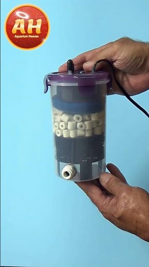Short Aquarium Canister Filter #shorts
