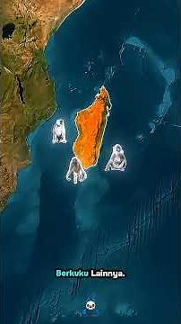 sejarah biologis Madagaskar yang menakjubkan!