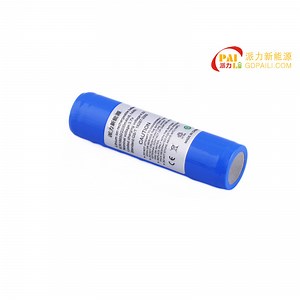[Hot Item] Internal Positive and External Negative Flashlight Battery