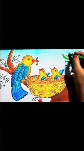 How To Draw A Nest With Birds Step By Step Drawing || Nest With Bird Drawing Colour || Sn'P Creation