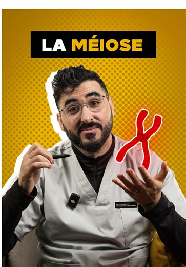 La méiose est un phénomène biologique qui permet la formation des gamètes et la diversité génétique des caractères héréditaires #pourtoii #prof_laouina #biology #meiosis #genetics #dna #pourtoi #learnontiktok #tiktokeducation #viral #trending #Éducation #Biologie #Méiose #Sciences #Apprentissage #CoursEnLigne #Génétique #DiversitéGénétique #Études #Savoir