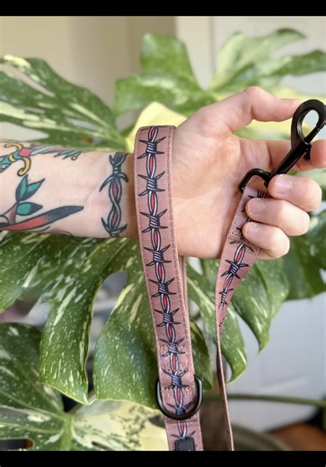 🚨NEW: Tuff Bones Barbed Wire collection 👏 This design is now available in leashes and dog & cat collars 😎 Snag yours and get 25% off by clicking the link in our bio!🔥 #tattoo #traditionaltattoo #alt #dogtattoo #fyp