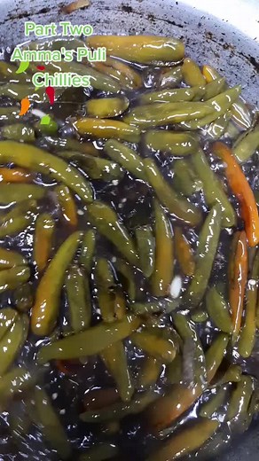 #pulichillies #Amma'sspecial#indianspice 🌶#hot #fyp