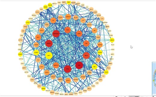 【绘图小技巧】Cytoscape3.8.2PPI网络美化