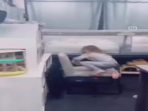 Human's Best Friends  (VIDEO)