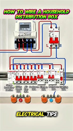 How to Wire a Household Distribution Box (Step-by-Step Guide)⚡️💡 #electrician #distributionbox
