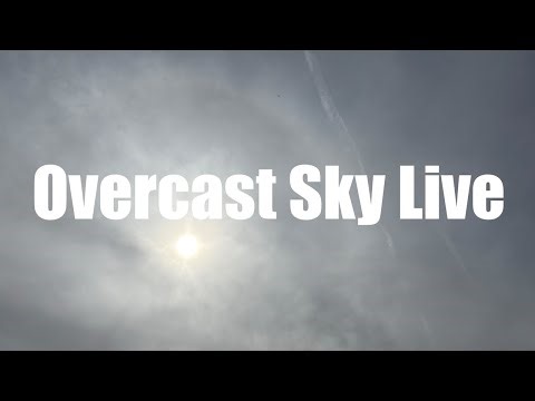 Overcast Sky Live 🇯🇵