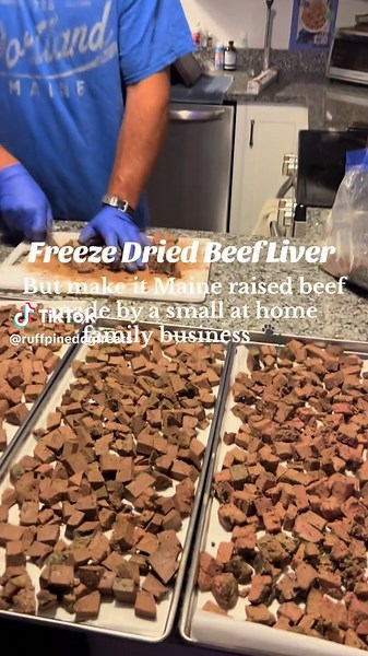 Maine-Made Freeze Dried Beef Liver Dog Treats