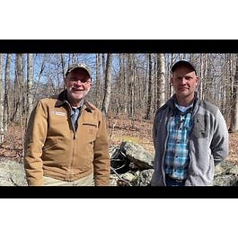 Woodland Reptiles: Snakes and Turtles