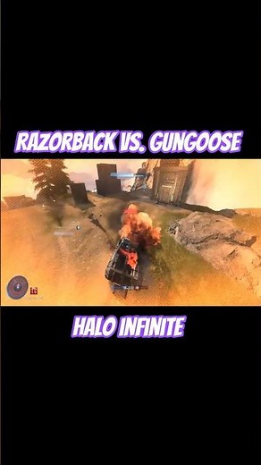 "Razorback vs. Gungoose" |#haloinfinitemultiplayer #shorts #halo #halopc #gaming #4k