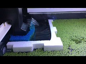 Anyone experienced with Seachem Tidal HOB filters (55/75/110)?