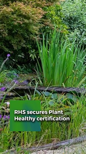 The Royal Horticultural Society (RHS) has secured Plant Healthy certification at all its gardens and retail centres, becoming the first organisation in the UK to achieve a clean sweep across each of its public gardens and retail sites. | Landscaping Matters