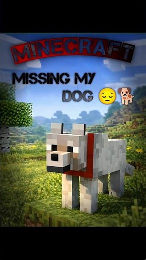 Missing my dog in Minecraft 😭 #minecraft #dog #doglove #tutorial #trending #viral #shorts #gaming