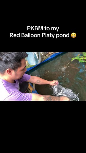 Red Balloon Platy Pond with PKBM Crossbreeding Results