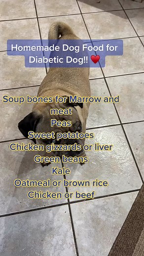 Homemade dog food for my diabetic dog it’s making a huge difference in his blood sugar. Poor guy went blind. We’re doing everything we can to help him.!#dog #pugs #diabeticdogs #homemadedogfood #diabeticpug #diabeticdogowners