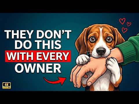 Your Dog Does This ONLY If You're a Truly Great Owner