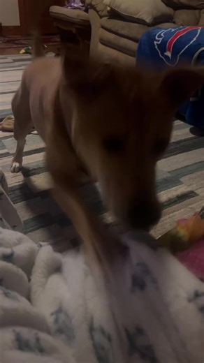 The king of needing attention