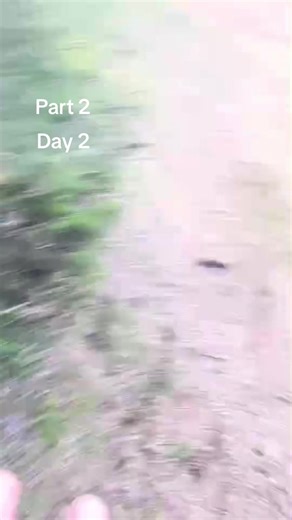 Part 2 #treehouse much better from yesterday @乃尺卂乇 @Keitley Evans