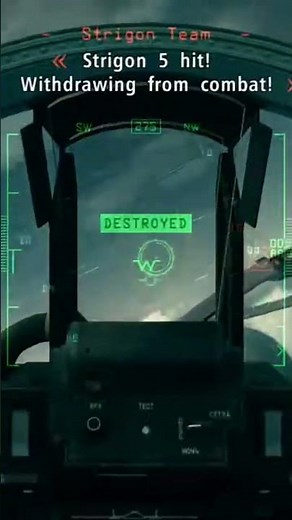 ACE COMBAT 6 GIANT WEEB PLANE