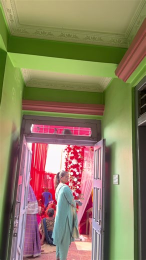 Discover Arrowroot Benefits for Healthy Living