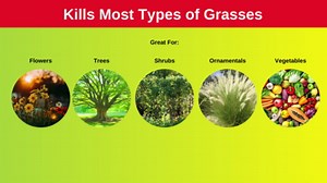 Hi-Yield (31134) Grass Killer Postemergence Grass Herbicide (8 oz)