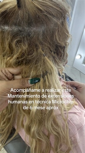 Acompáñame a realizar este mantenimiento de extensiones 100% humanas en tecnica punto por punto microchip luego de haberse realizado la instalación 6 meses aprox. ✨✨✨ Si deseas agendar con nosotros estamos en 📍Maracaibo, CC Montielco 5 de julio. #damysextensiones #extensiones #fyp #mantenimientodeextensiones #maracaibo