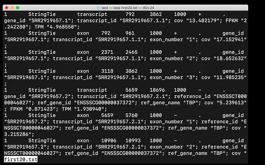 python对文件做筛选