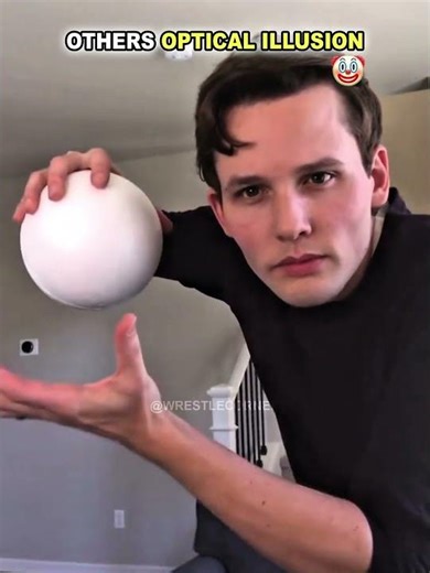 Others Optical illusion VS The Last Guy! 🤯
