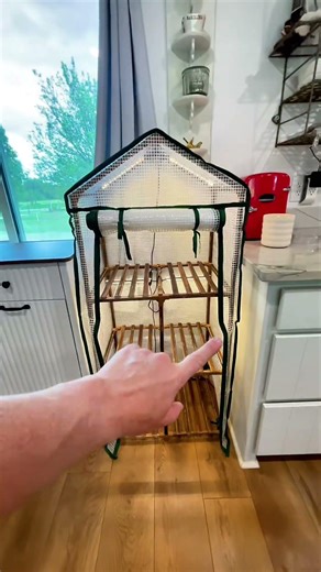 If you’ve struggled to keep plants alive or don’t know where to start, this walk-in mini greenhouse