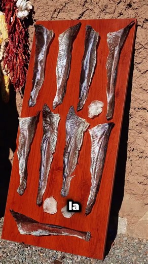 ¿Cómo se hacen prendas con piel de pez 🤯