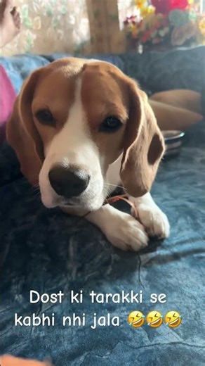 #comedy #funny #fun #comedyfilms #sorts noddy ka logic 😎