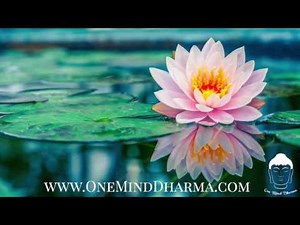 Guided Metta Meditation