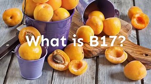 1K reactions · 591 shares | What is Vitamin B17 (Amygdalin)? Vitamin B17, also referred to as amygdalin, is a naturally occurring nutrient found in many nuts, seeds, and plants. B17 is most potently found in apricot seeds, but it also exists in apple seeds, lima beans, clover, sprouts, some berries, and eucalyptus leaves. B17 is known for its connection to an impressive variety of potential benefits for human health. | Apricot Power | Facebook