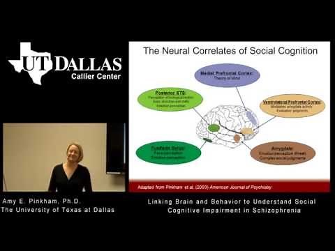 Linking Brain and Behavior to Understand Social Cognitive Impairment in Schizophrenia