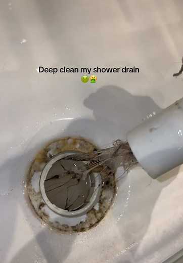 Deep Clean Your Shower Drain: Step-by-Step Guide