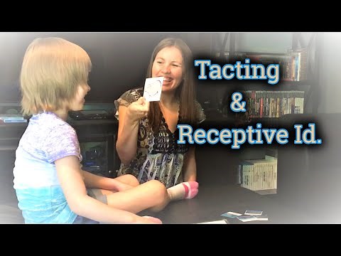 Discrete Trial: Receptive Identification and Tacting